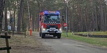 Tragedia w Gryficach. 16-latek porwany w nocy przez nurt rzeki. Trwają poszukiwania