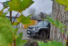 Jeep Renegade 1.3 GSE-T - prawie made in Poland | TEST