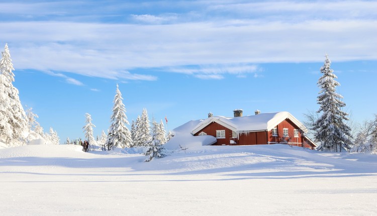 Zima zaatakuje przed świętami Bożego Narodzenia 2025? Prognoza IMGW i amerykańskiego modelu GFS