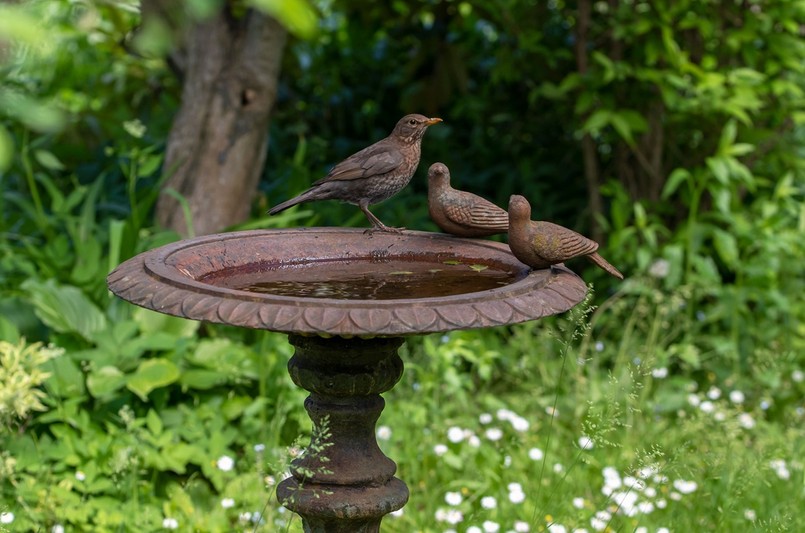 Żeliwne poidło dla ptaków na wysokiej nodze