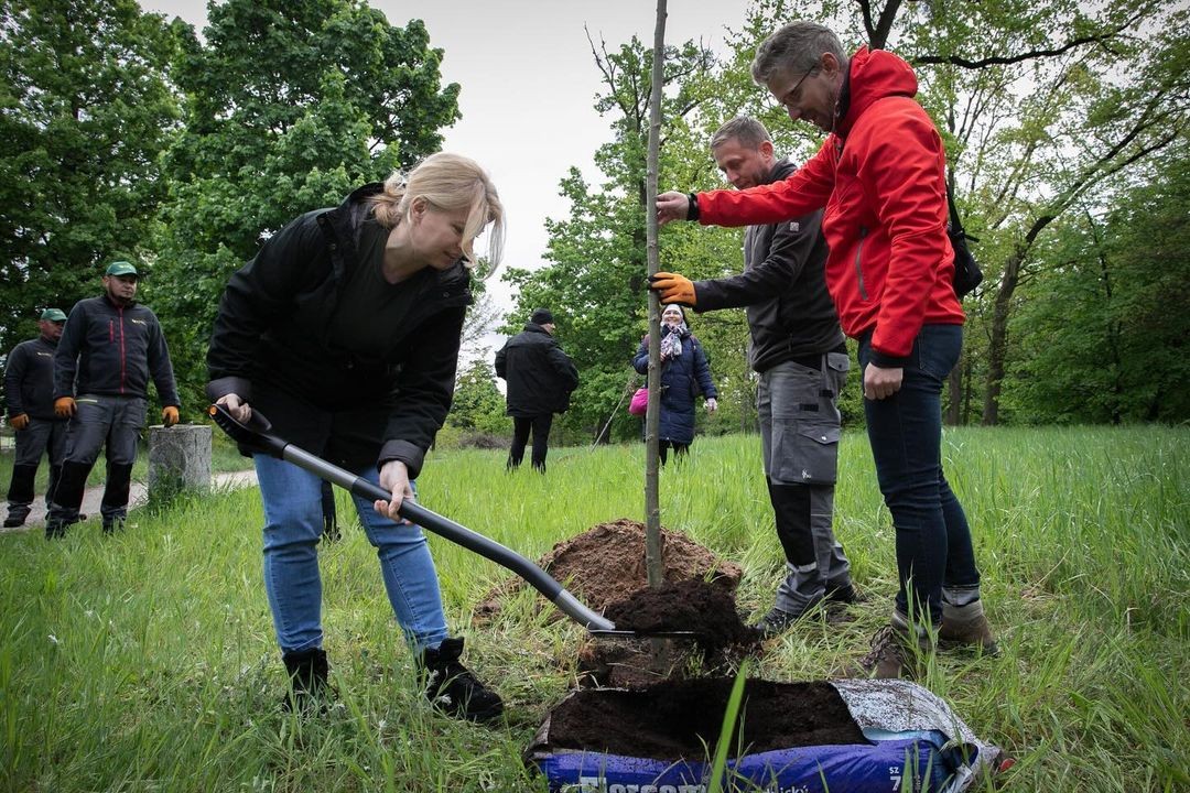 Prezidentka SR Zuzana Čaputová vysadila so svojím tímom stromčeky na Záhorí.