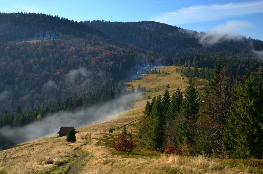 Gorce, polana Podskały