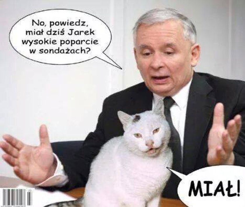 Rozczarowanie w PiS