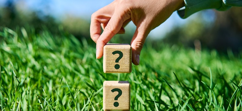 Znasz przysłowia o wiośnie? QUIZ łatwy tylko z pozoru