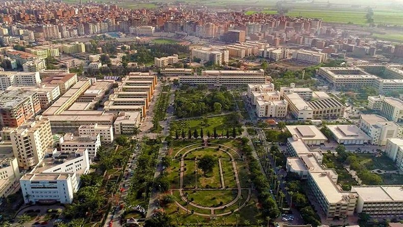 Mansoura University (Egypt)