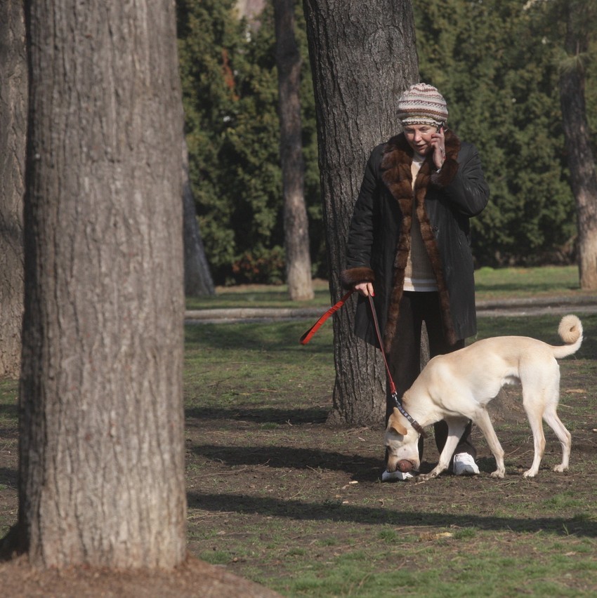 „Kučkari u parku su navikli da me viđaju tek probuđenu, otečenu od spavanja. Pa neću valjda u štiklama da šetam psa?“: Suzana, rano ujutru, malo pospana...