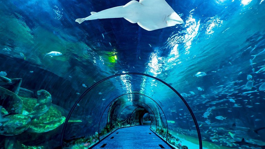 Primer Polinovih  enterijera Akvarijuma