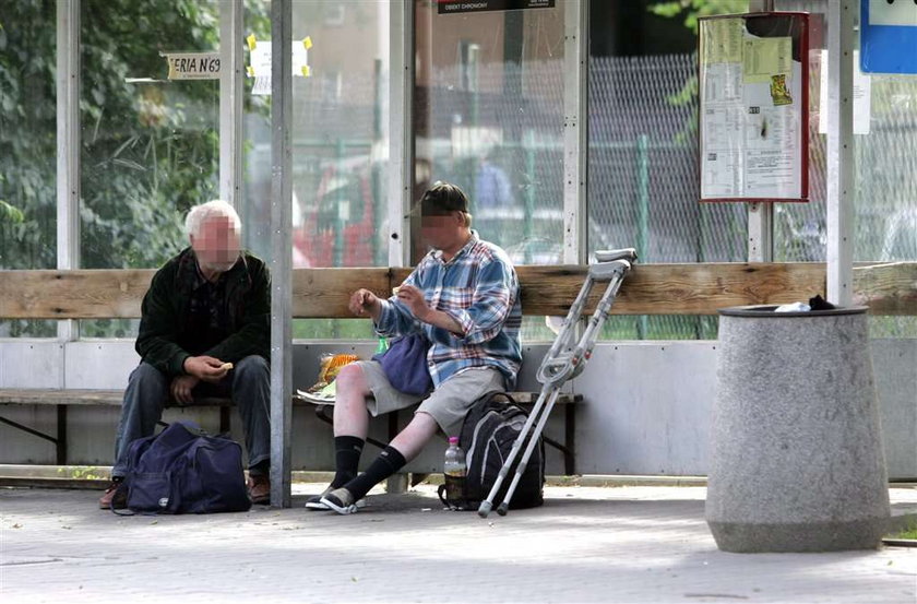 Menele rządzą miastem, a strażnicy gnębią kierowców