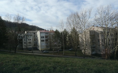 Starčevica najlepša za život