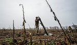 Przerażające zdjęcia z Ukrainy. Księżycowy krajobraz niczym z najmroczniejszych rozdziałów historii