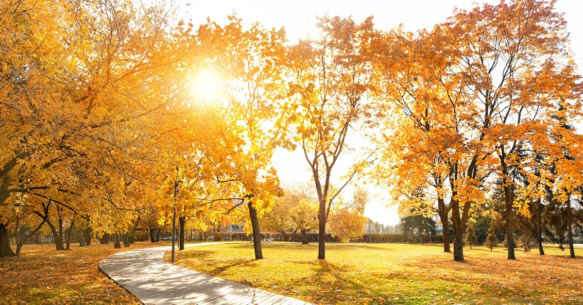 Czy to początek złotej jesieni w Polsce? Prognoza pogody na sobotę, 18 października