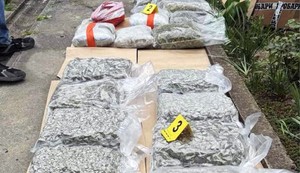 Zaplenjena marihuana u Kikindi