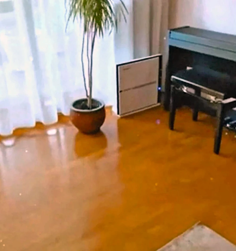 Sloboda Mićalović i Vojin Ćetković, dom