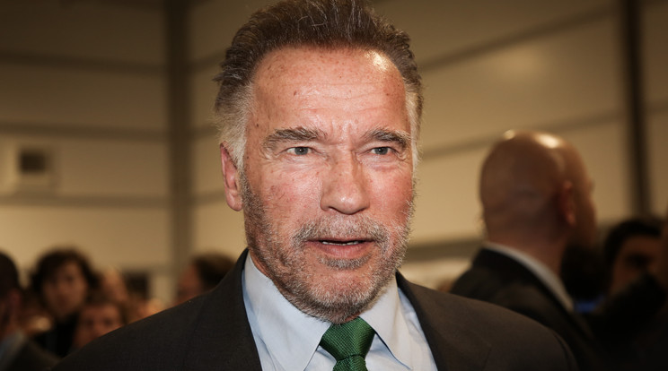 Arnold Schwarzenegger / Fotó: Northfoto