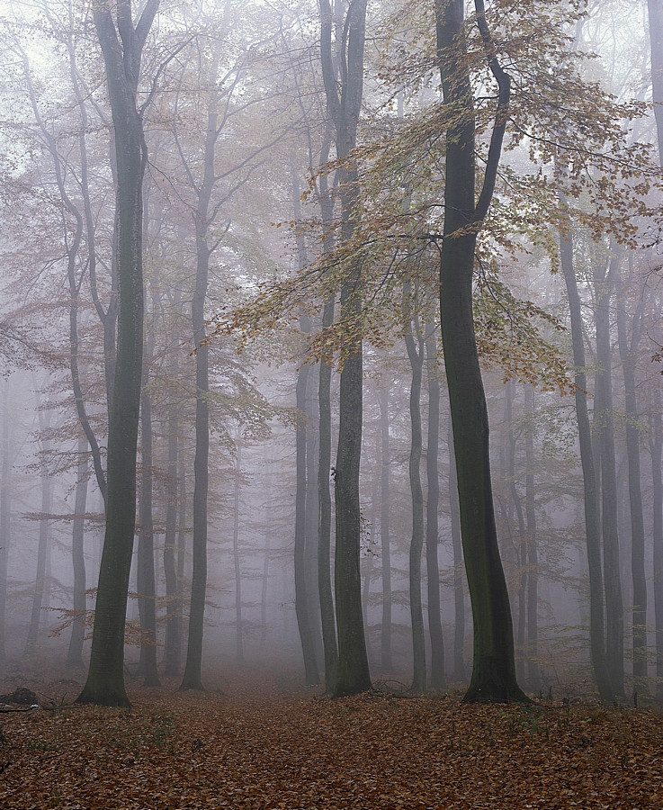 Beskid Niski - góry bez turystów