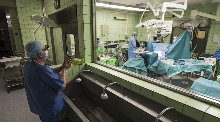 Szívtranszplantáció a városmajori klinikán / Fotó: MTI Mónus Márton