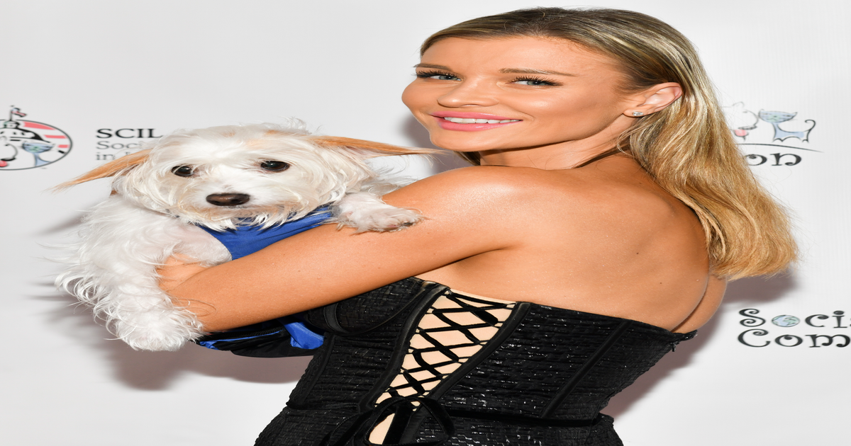 3000-z-za-psa-ale-zero-opieki-szokuj-cy-system-schroniska-w-Sobolew