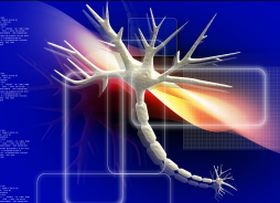 idegsejt-neurol-d00000D5642e2ac898633