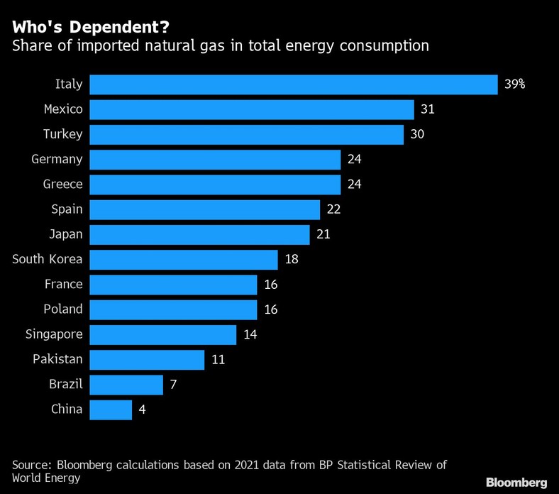 Udział importowanego gazu ziemnego w całkowitym zużyciu energii