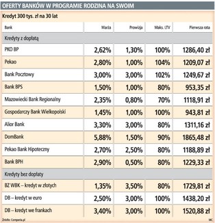 Kredyt z państwową pomocą może nas drogo kosztować