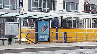 Baleset történt a hatalmas szél miatt Budapesten: reklámtartónak csapódott a 48-as villamos – fotó