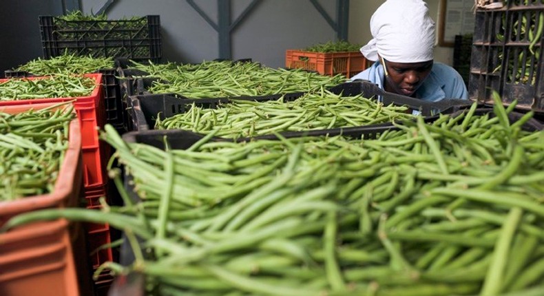 Horticulture earned Kenya $1.15 billion last year to become the country’s third top foreign exchange earner