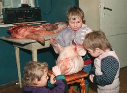 Nie przegap w TV: "Arizona" poruszający dokument Ewy Borzęckiej