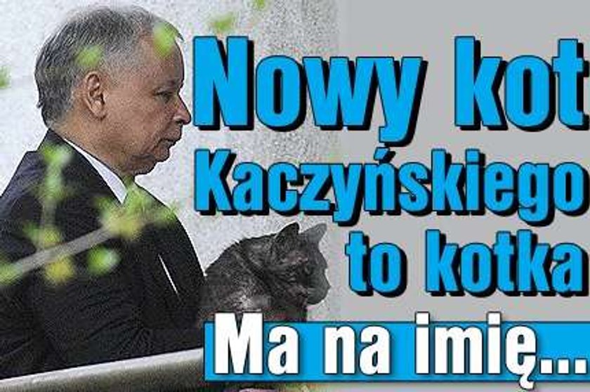 Nowy kot Kaczyńskiego to kotka. Ma na imię...