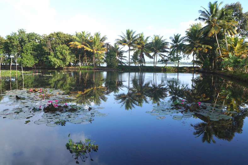 Zawsze zielone rozlewiska Kerali tzw. Backwaters