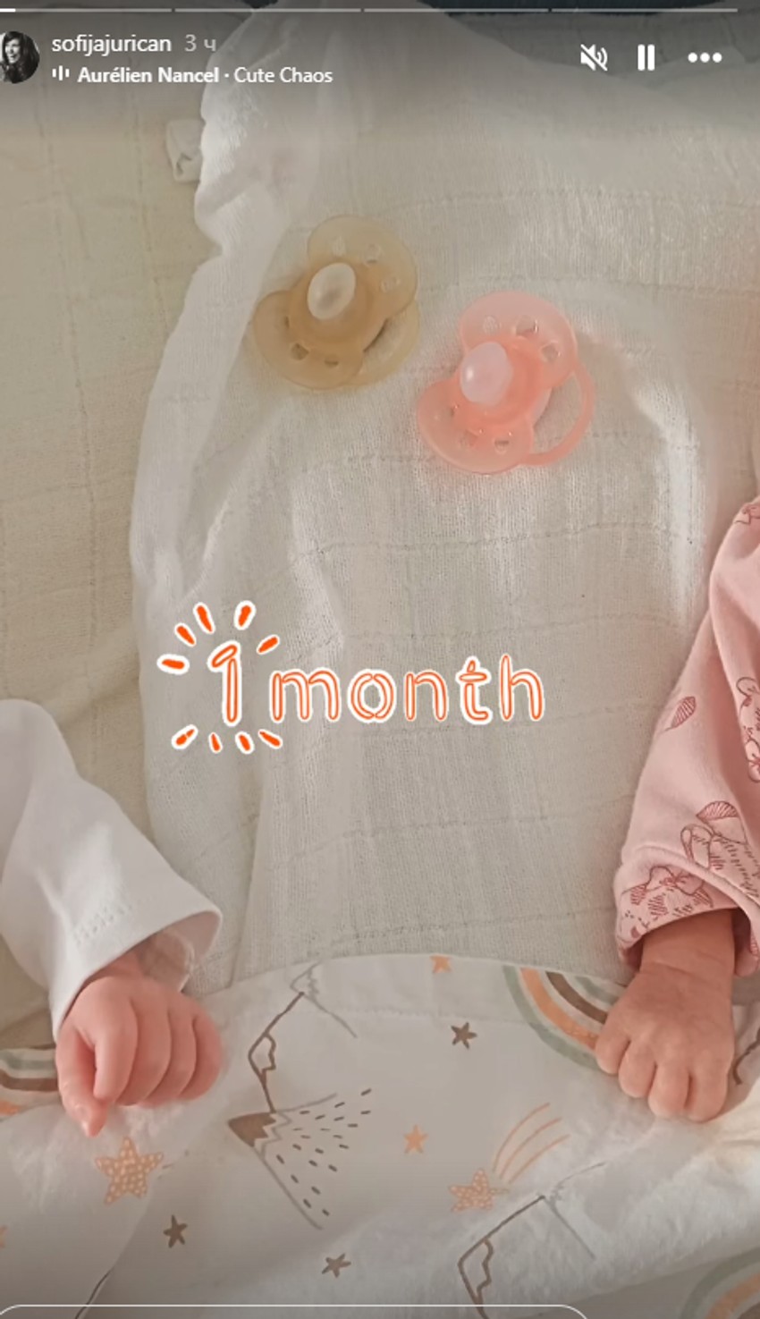 Sofija Juričanin, objava 