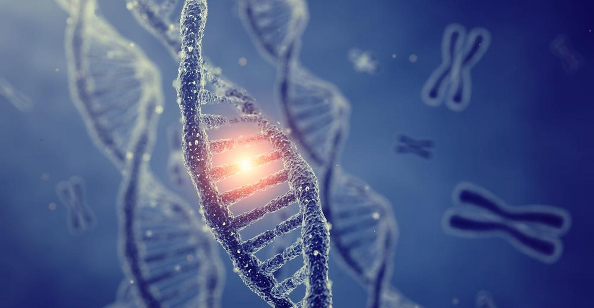 Które ludzkie geny odpowiadają za walkę z COVID-19?