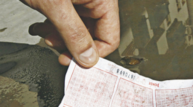 Pocsolyában találta a nyertes lottószelvényt