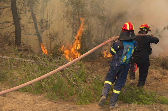 (VIDEO) VELIKI POŽAR BUKNUO U OMILJENOM LETOVALIŠTU SRBA Naređena HITNA evakuacija, dignuti helikopteri