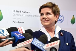 Jak PiS chce zmienić budżet na 2016 r.? Mniej na promocję biopaliw, więcej na wydatki społeczne