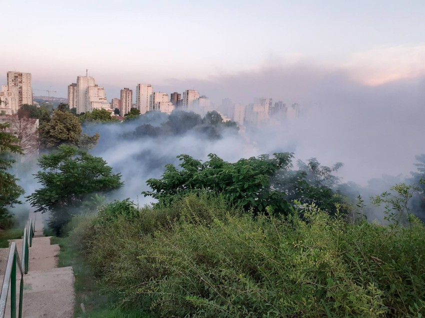 Zaprašivanje komaraca