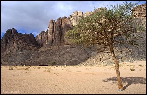 Galeria Jordania - pustynna przygoda, obrazek 14