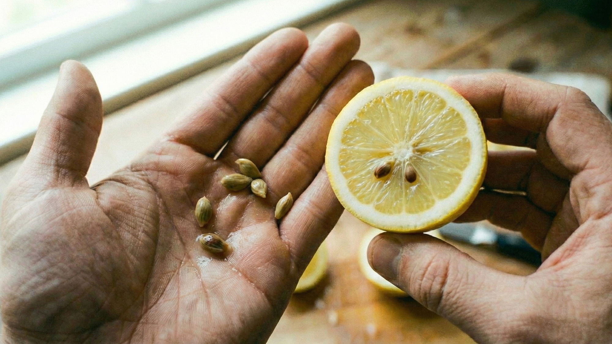 Jadierka z citróna.