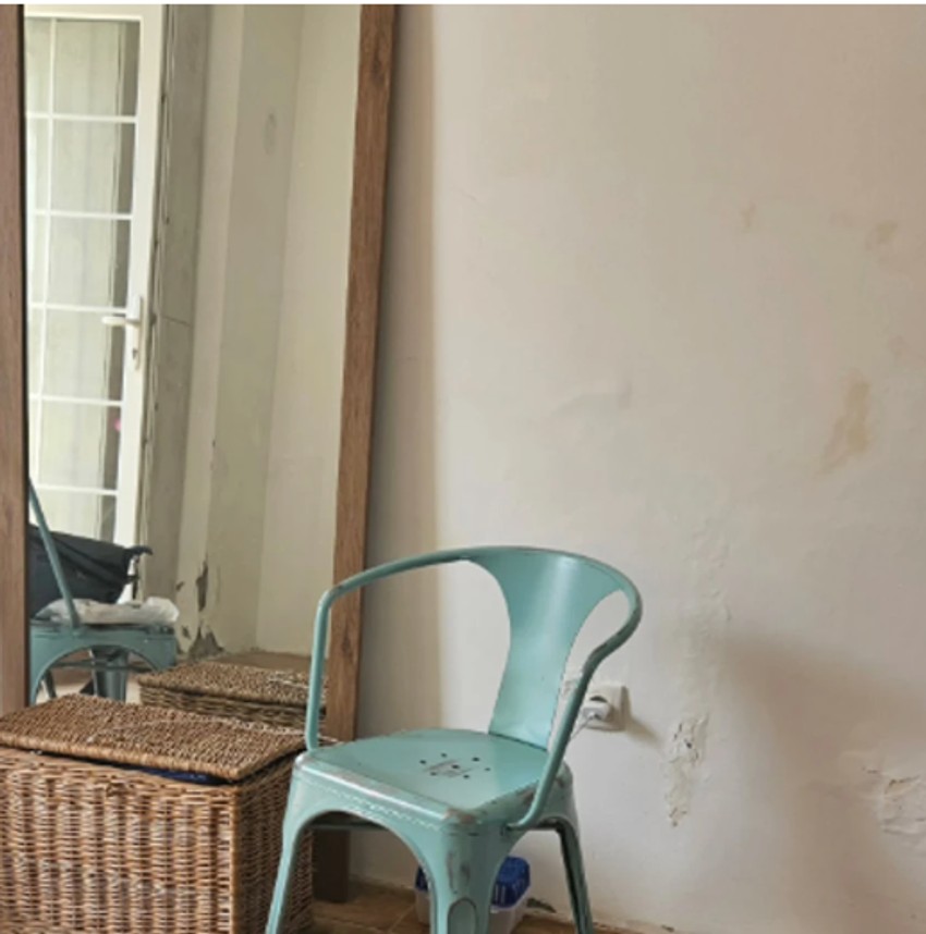 Mirjana Bobić Mojsilović kuća na selu