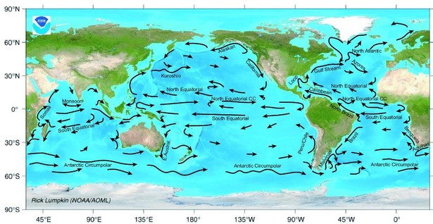 Aktualna mapa prądów morskich. Źródło: NOAA, domena publiczna