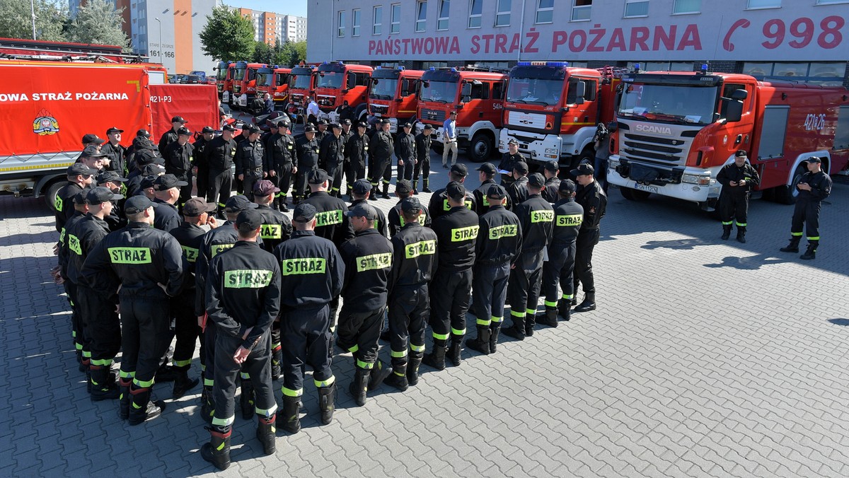 Dziś po północy ze Świnoujścia wyruszyła grupa polskich strażaków wraz ze sprzętem. Przez najbliższe dwa tygodnie Polacy będą uczestniczyć w akcji gaszenia pożarów w Szwecji.