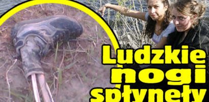 Ludzkie nogi spłynęły Wisłą