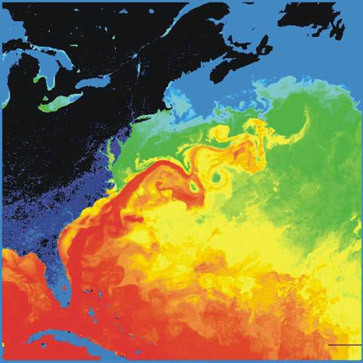 Temperatura powierzchni północno-zachodniego Atlantyku. Ameryka Północna ma kolor czarny i ciemnogranatowy, a Prąd Zatokowy – czerwony