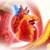 Arterije su krvni sudovi koji prenose krv bogatu kiseonikom kroz telo