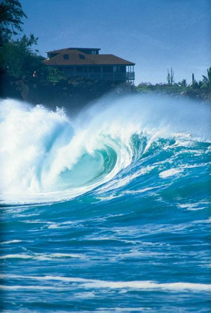 Galeria USA - Hawaje - Oahu - wyspa "Zagubionych", obrazek 10