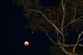 Večeras je POMRAČENJE SUNCA: Koridor se zatvara, tajne izlaze na videlo, a ovom znaku će se NAJVIŠE SMRKNUTI!