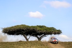 Sebastian Ogier najlepszy w Rajdzie Safari. Zasada miał pecha