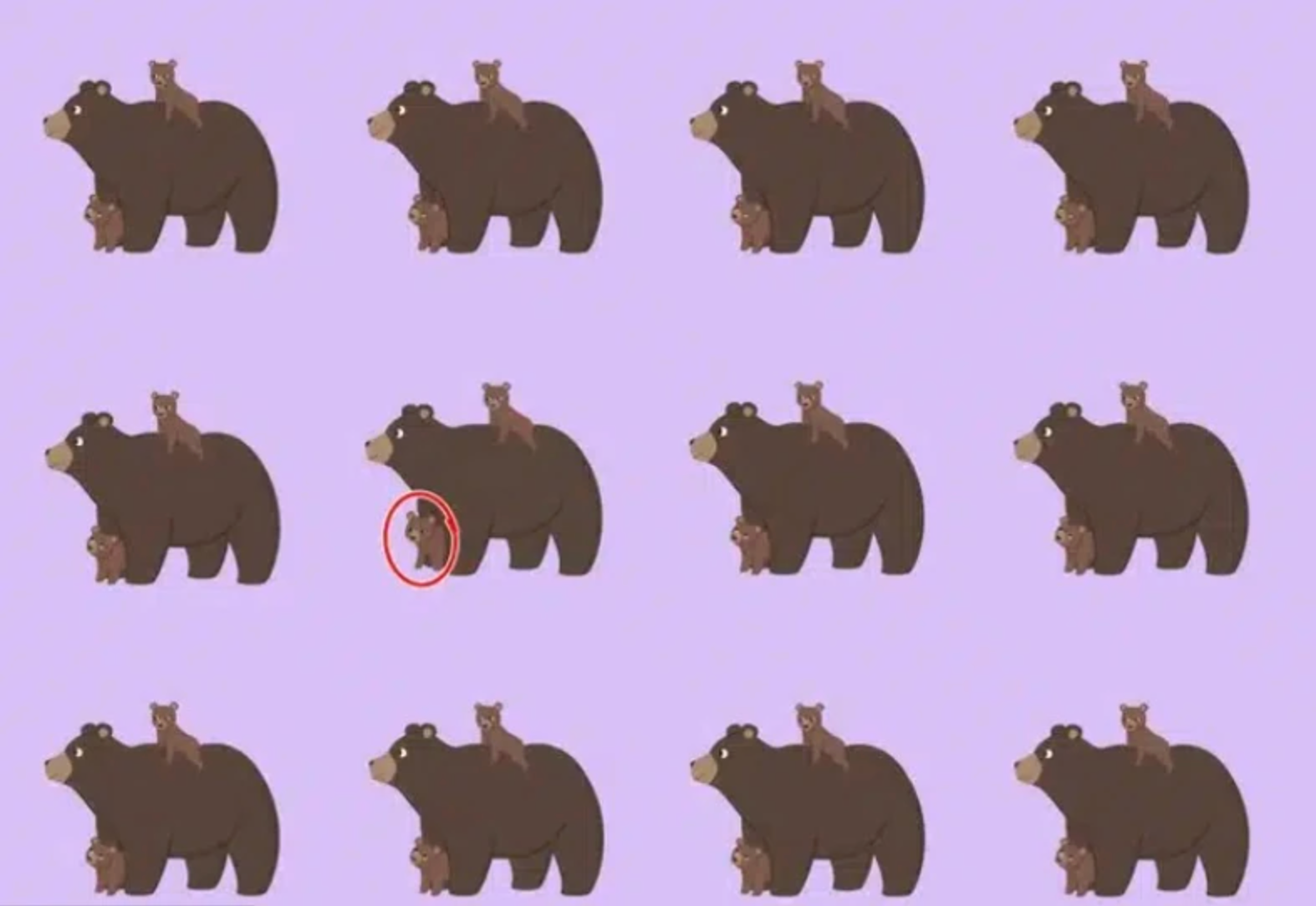 Koľko vám trvalo nájsť iného medveďa?