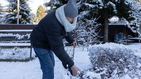 Działkowcy alarmują ws. "stopniowej likwidacji ROD". Zaapelowali do rządu