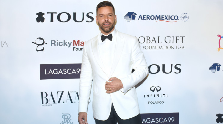 Ricky Martin szerint több munkától is elesett azután, hogy 21 éves unokaöccse szexuális zaklatással vádolta meg/ Fotó: Northfoto