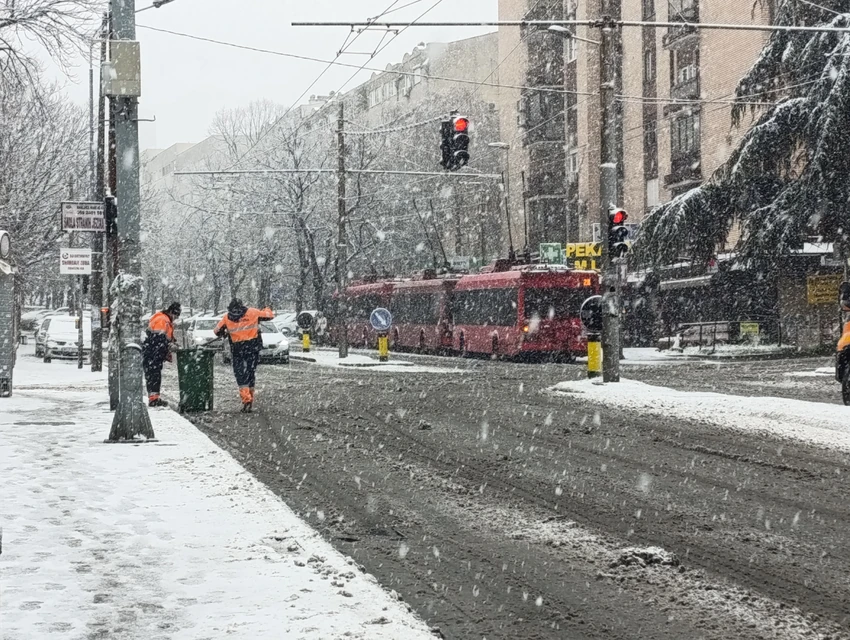 Sneg u Beogradu, Zvezdara